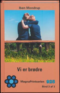 Vi er brødre. Bind 3 (Stor skrift)
