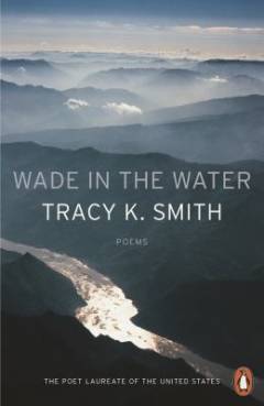 Wade in the water