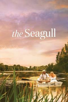 The seagull