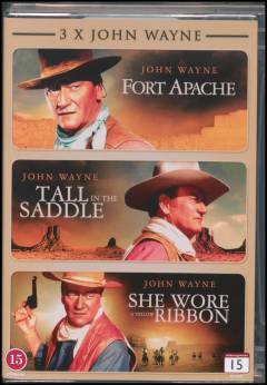 En cowboy renser byen