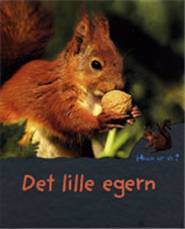 Det lille egern