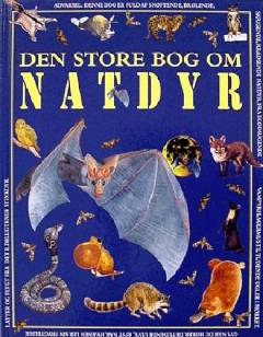 Bog, 1999