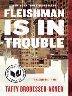 Fleishman is in trouble : a novel