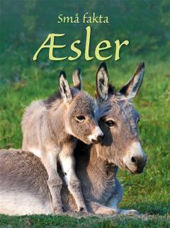 Æsler