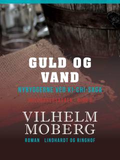 Guld og vand : nybyggerne ved Ki-Chi-Saga