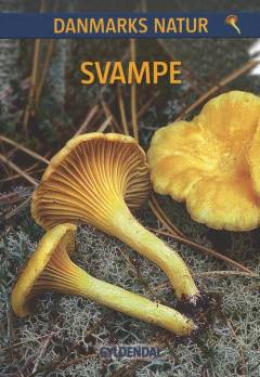 Svampe