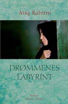 Drømmenes labyrint