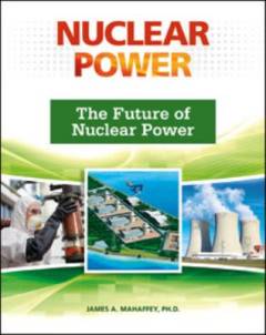 The future of nuclear power