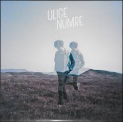 Ulige Numre