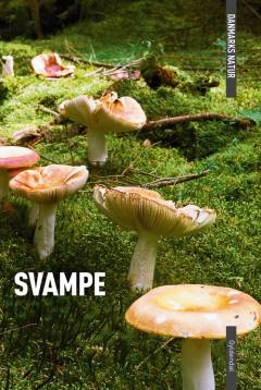 Svampe