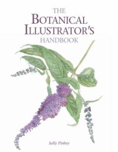 The botanical illustrator's handbook