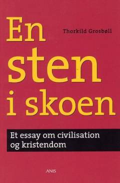 En sten i skoen : et essay om civilisation og kristendom