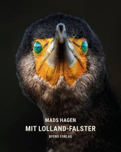 Bog, 1. udgave, 2021