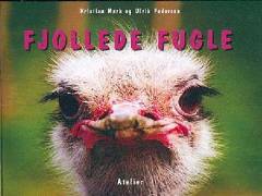 Fjollede fugle