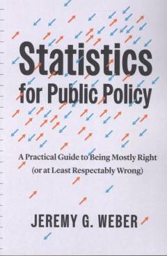 Statistics for public policy : a practical guide to being mostly right (or at least respectably wrong)