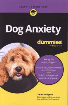 Dog anxiety