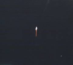 Chapter 1: Sault (Inflo, Cleo Sol, Jack Peñate ... et al.)