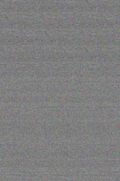 William Golding : Lord of the Flies