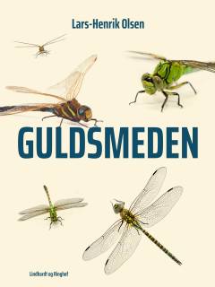 Guldsmeden