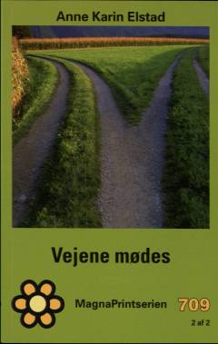 Vejene mødes. Bind 2 (Stor skrift)