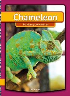 Chameleon