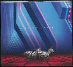 This is the second album of a band called Adebisi Shank