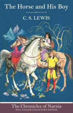 The horse and his boy