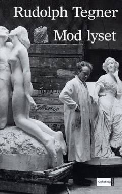 Mod lyset : arbejder, oplevelser, erindringer