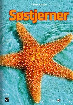 Søstjerner