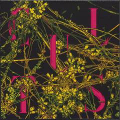 Musik (cd), ℗2020
