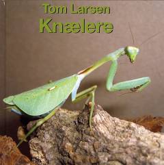 Knælere