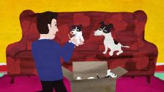 Min lille hund Mester. 7 : Mesters hvalpe