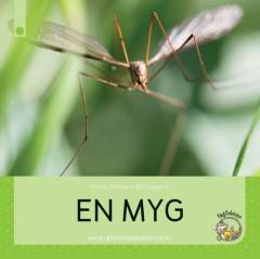 En myg