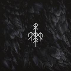 Kvitravn
