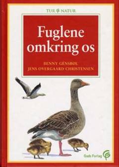 Bog, 2. udgave, 2001