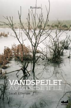 Vandspejlet