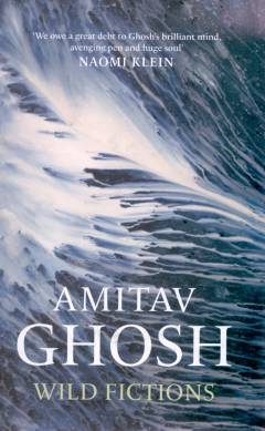 Wild fictions : essays