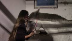 Ponylove. Afsnit 2 : Fordomme