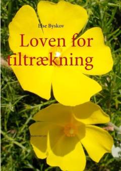 Loven for tiltrækning : den vigtigste naturlov i dit liv