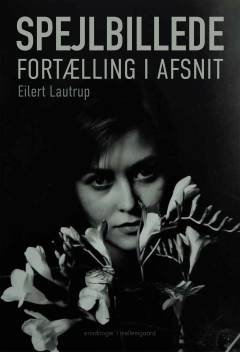 Spejlbillede : fortælling i afsnit