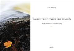 Som et træ plantet ved bækken : meditationer fra Salmernes Bog