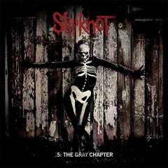 .5 - the gray chapter