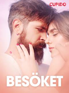 Besöket - erotisk novell