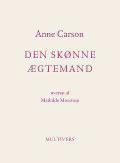 Den skønne ægtemand : et fiktivt essay i 29 tangoer