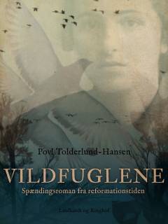 Vildfuglene : spændingsroman fra reformationstiden