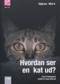 Hvordan ser en kat ud?
