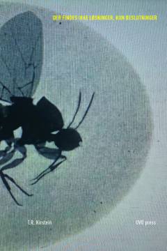 Der findes ikke løsninger, kun beslutninger