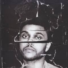 Beauty behind the madness