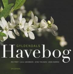 Bog, 1. udgave, 2009