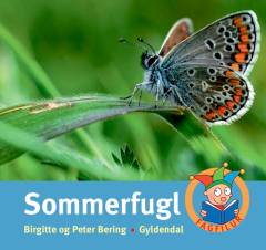 Sommerfugl